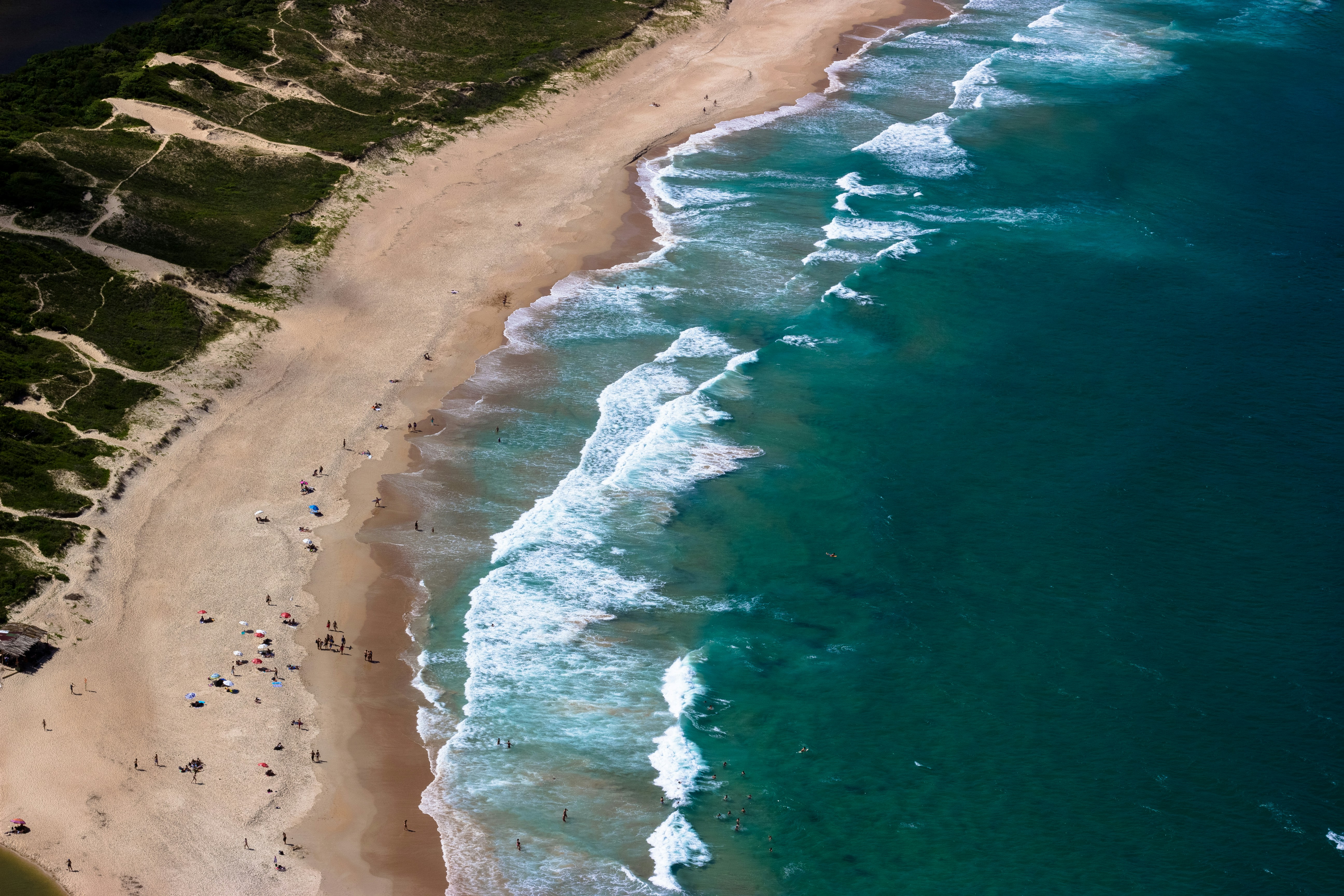 A straight-down aerial view of turquoise waves breaking along a Florianópolis beach, dune-backed sand dotted with sunbathers and colorful umbrellas